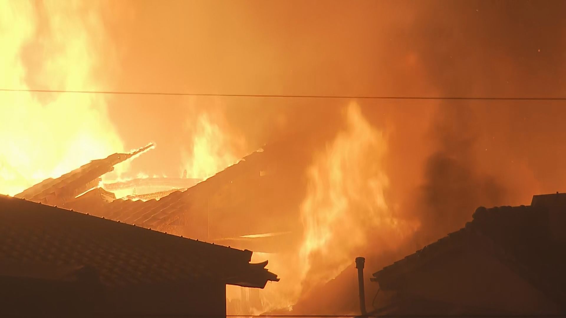 ギャラリー | 大分のニュース速報と地域の話題 TOSオンライン