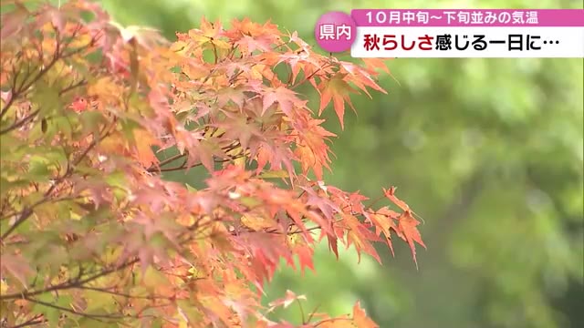 湯布院 金鱗湖を朝霧が包む 日中も気温上がらず 秋 を感じる1日に 大分 Tosオンライン 湯布院 金鱗湖を朝霧が包む 日中も気温上がらず 秋 を感じる1日に 大分 Tosオンライン
