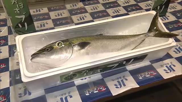 楽天市場】【ふるさと納税】養殖 かぼすブリ 半身 3枚おろし