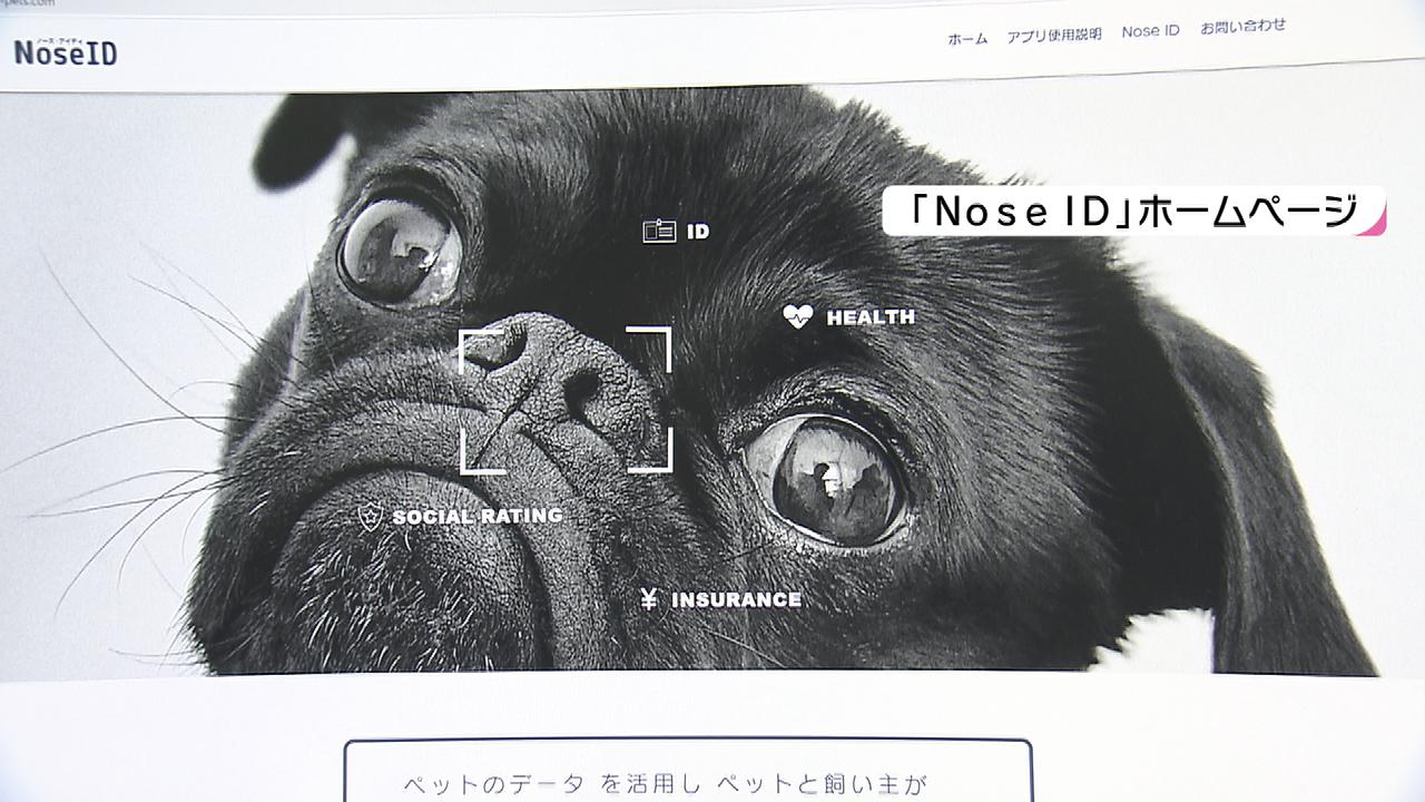 愛する犬猫との命綱 マイクロチップと鼻紋認証アプリ もしもの時に Tosオンライン