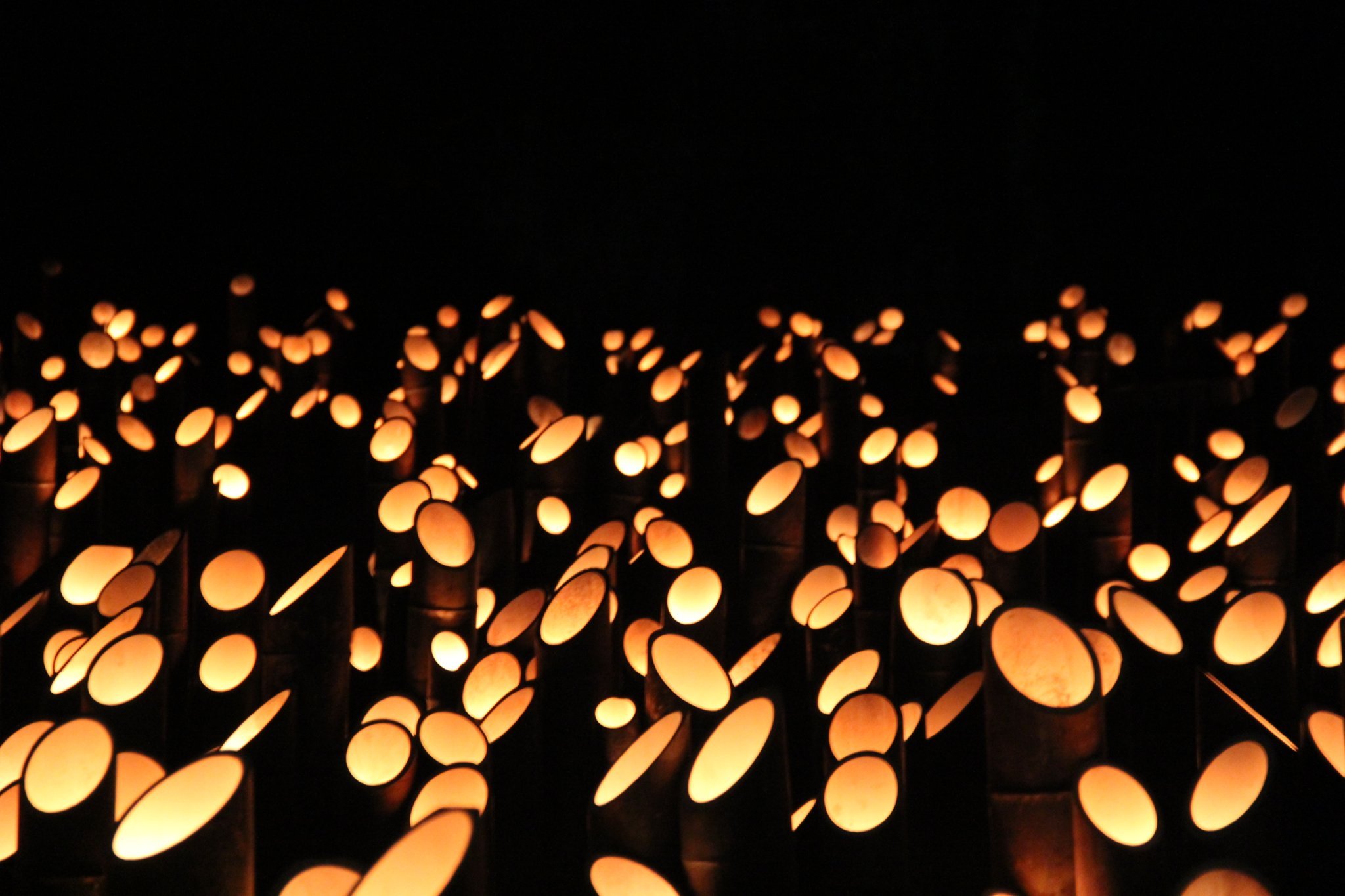 秋の風物詩 たけた竹灯籠 竹楽 今年は市民限定に ゆ わく特派員 Tosオンライン